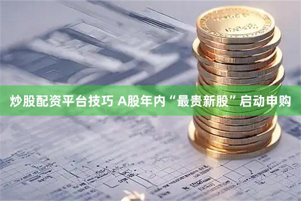 炒股配资平台技巧 A股年内“最贵新股”启动申购