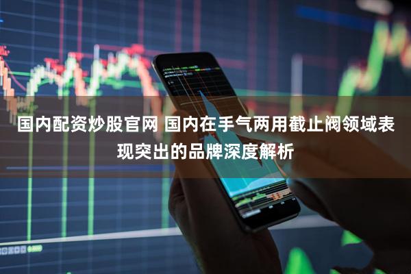国内配资炒股官网 国内在手气两用截止阀领域表现突出的品牌深度解析